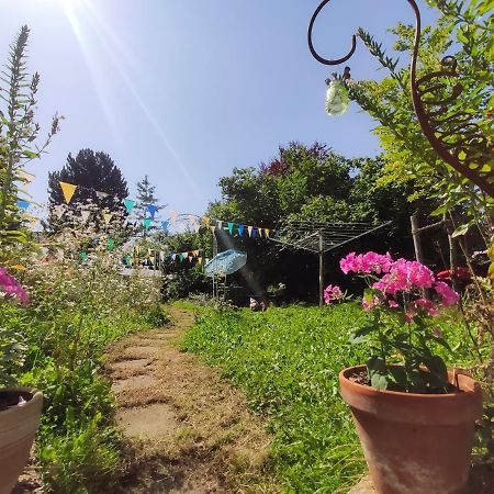 Modernes Zimmer Am Park Mit Garten, Huehner & Enten München Kültér fotó