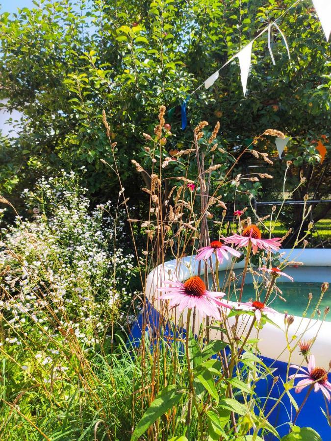 Modernes Zimmer Am Park Mit Garten, Huehner & Enten München Kültér fotó