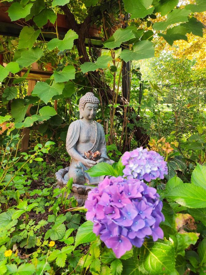 Modernes Zimmer Am Park Mit Garten, Huehner & Enten München Kültér fotó